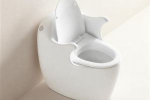 Western Toilet Seat