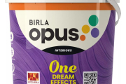 Birla Oppus Paint